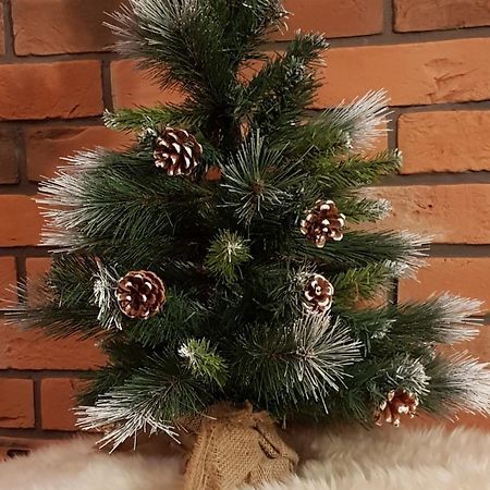 Apartamenty Bachledzki Wierch, Zakopane Kültér fotó