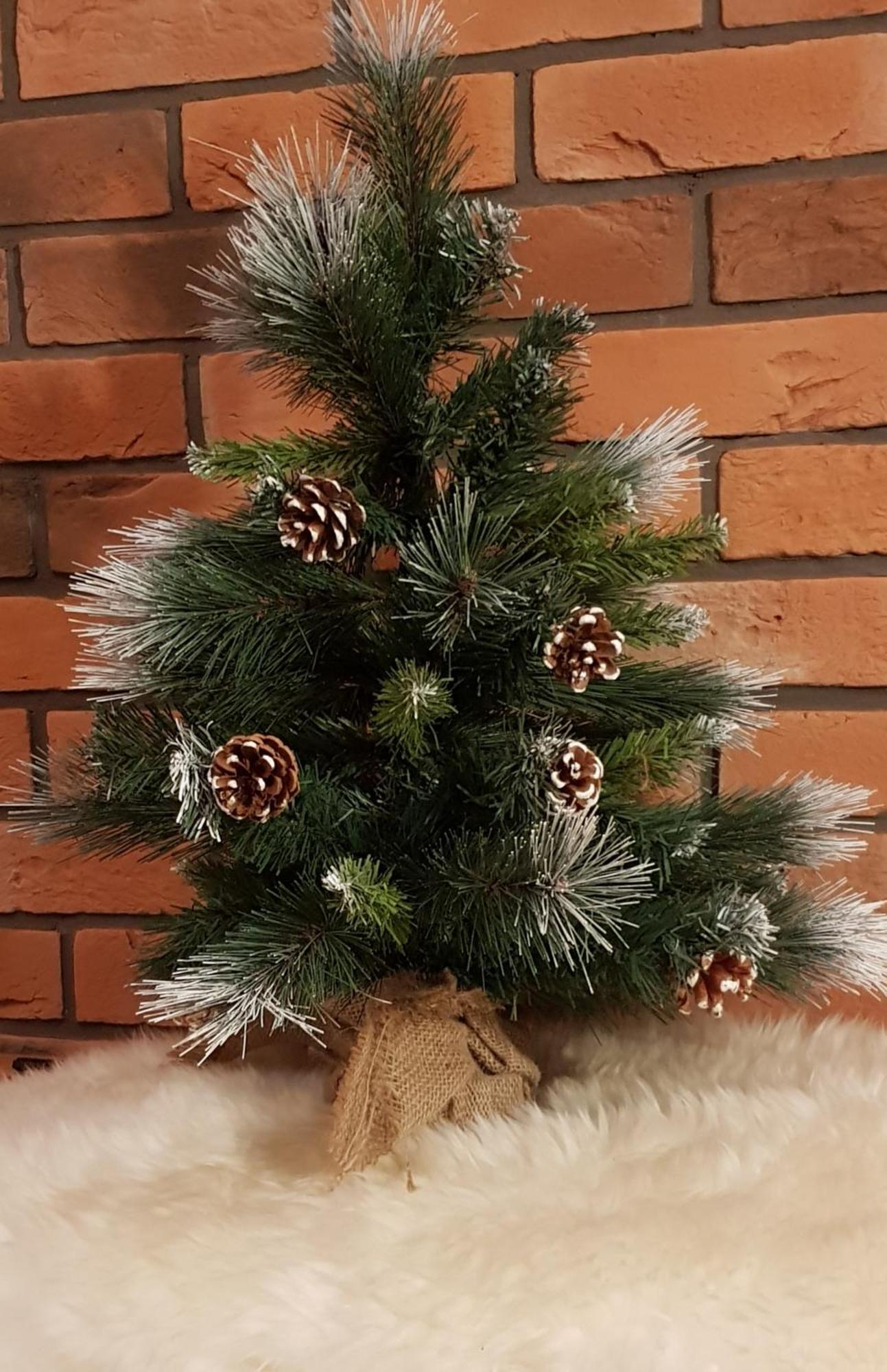 Apartamenty Bachledzki Wierch, Zakopane Kültér fotó